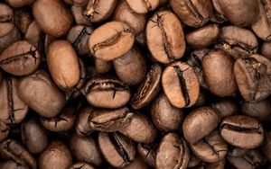 Preview wallpaper coffee beans, coffee, beans, macro