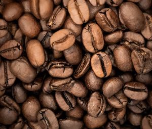 Preview wallpaper coffee beans, coffee, beans, macro