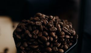Preview wallpaper coffee beans, coffee, beans, close up