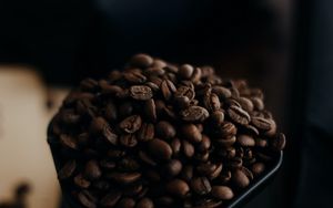 Preview wallpaper coffee beans, coffee, beans, close up