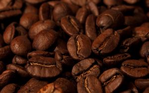 Preview wallpaper coffee beans, coffee, beans, roasting, brown