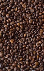 Preview wallpaper coffee beans, coffee, brown