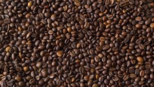 Preview wallpaper coffee beans, coffee, brown