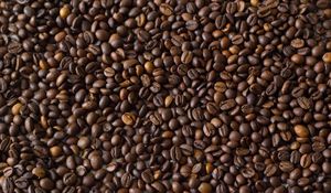 Preview wallpaper coffee beans, coffee, brown