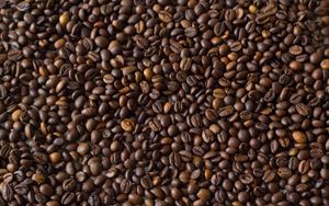 Preview wallpaper coffee beans, coffee, brown