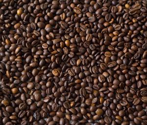 Preview wallpaper coffee beans, coffee, brown