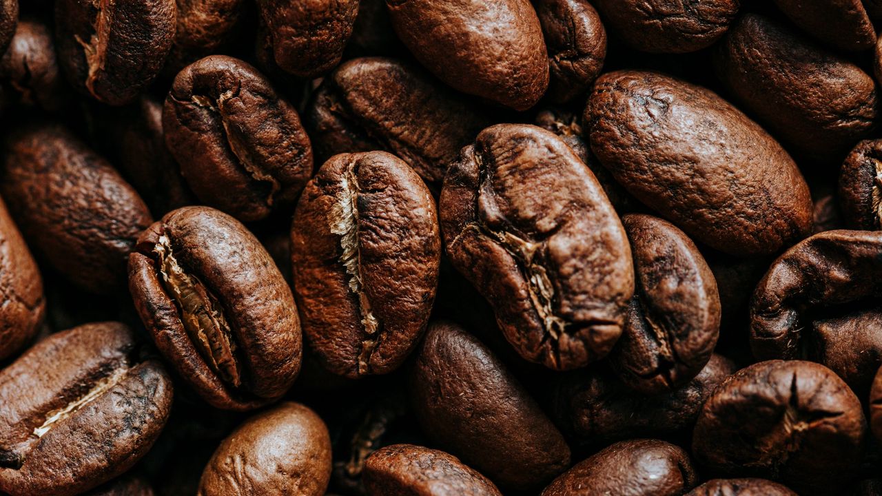 Wallpaper coffee beans, coffee, brown, roasted