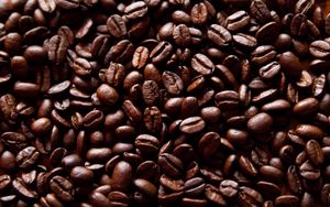Preview wallpaper coffee beans, coffee, fried