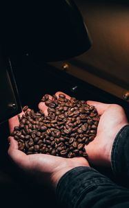 Preview wallpaper coffee beans, coffee, hands