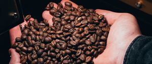 Preview wallpaper coffee beans, coffee, hands