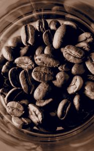 Preview wallpaper coffee beans, coffee, jar, brown, macro