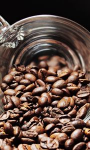 Preview wallpaper coffee beans, cup, fried