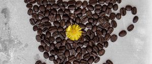 Preview wallpaper coffee, beans, dandelion, cup