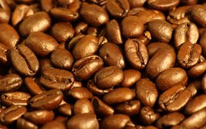 Preview wallpaper coffee, beans, glare, macro, brown