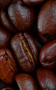 Preview wallpaper coffee, beans, macro, brown, glare