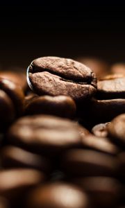 Preview wallpaper coffee, beans, roasted, brown