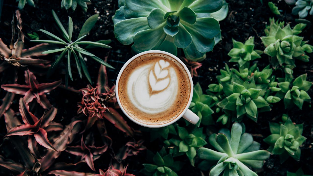 Wallpaper coffee, cappuccino, cup, drink, foam, plants, aerial view