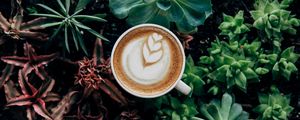Preview wallpaper coffee, cappuccino, cup, drink, foam, plants, aerial view