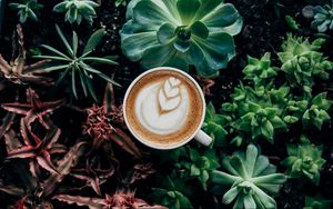 Preview wallpaper coffee, cappuccino, cup, drink, foam, plants, aerial view