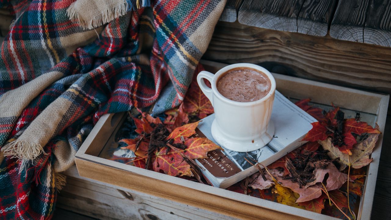 Wallpaper coffee, cocoa, cup, book, leaves, plaid, autumn