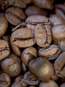 Preview wallpaper coffee, coffee beans, macro