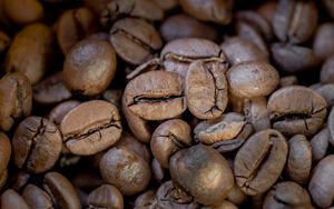 Preview wallpaper coffee, coffee beans, macro