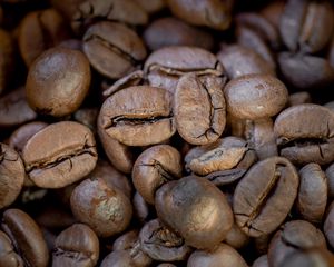 Preview wallpaper coffee, coffee beans, macro