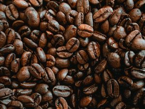 Preview wallpaper coffee, coffee beans, pattern