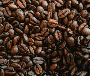 Preview wallpaper coffee, coffee beans, pattern