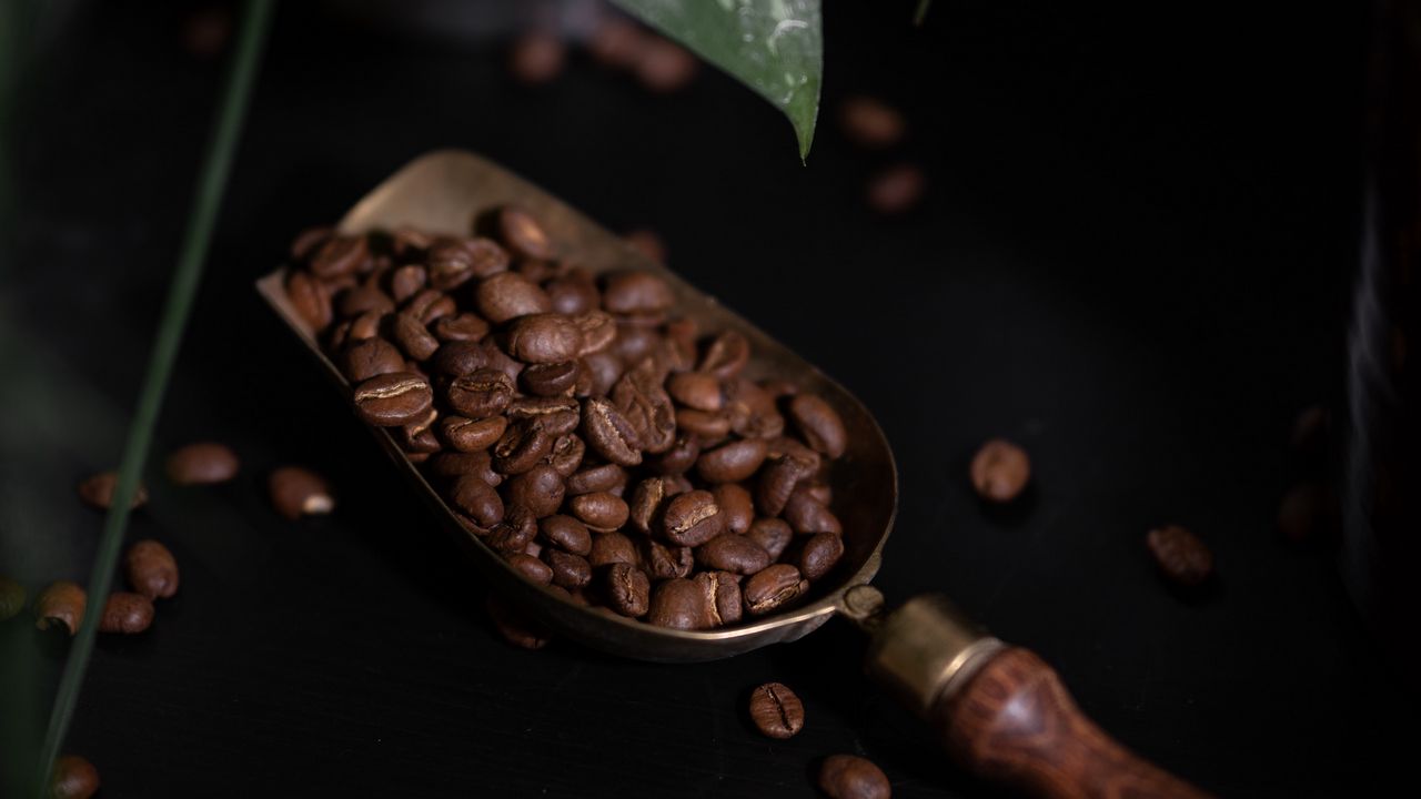 Wallpaper coffee, coffee beans, plant, dark