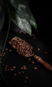 Preview wallpaper coffee, coffee beans, plant, dark