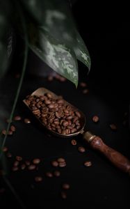 Preview wallpaper coffee, coffee beans, plant, dark