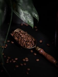 Preview wallpaper coffee, coffee beans, plant, dark