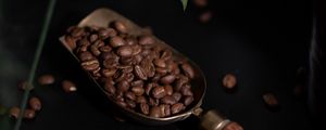 Preview wallpaper coffee, coffee beans, plant, dark