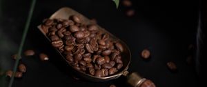 Preview wallpaper coffee, coffee beans, plant, dark