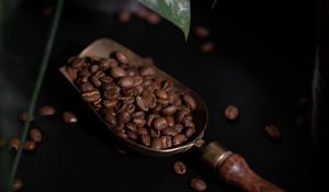 Preview wallpaper coffee, coffee beans, plant, dark