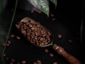 Preview wallpaper coffee, coffee beans, plant, dark