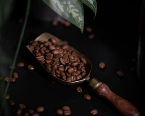 Preview wallpaper coffee, coffee beans, plant, dark