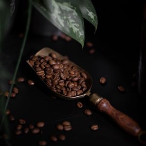 Preview wallpaper coffee, coffee beans, plant, dark