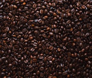 Preview wallpaper coffee, coffee beans, roasted, grains, texture