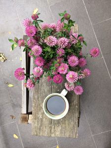 Preview wallpaper coffee, cup, clover, flowers, bouquet