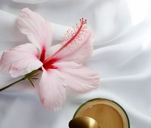 Preview wallpaper coffee, cup, flower, spoon, cloth