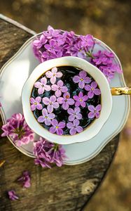 Preview wallpaper coffee, cup, lilac, flowers, wooden