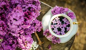 Preview wallpaper coffee, cup, lilac, flowers, wooden