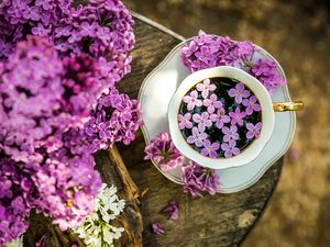 Preview wallpaper coffee, cup, lilac, flowers, wooden