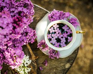 Preview wallpaper coffee, cup, lilac, flowers, wooden