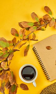 Preview wallpaper coffee, drink, cup, branch, yellow