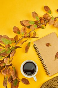 Preview wallpaper coffee, drink, cup, branch, yellow