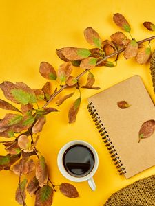 Preview wallpaper coffee, drink, cup, branch, yellow