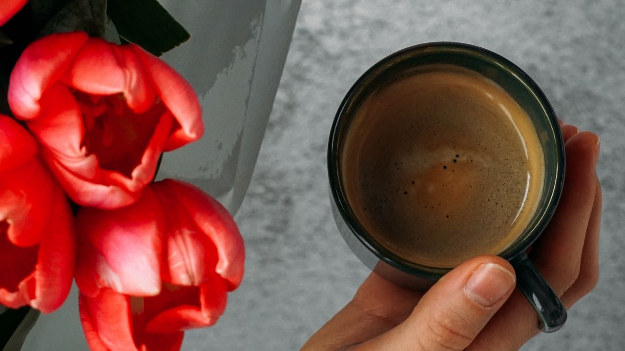 Wallpaper cup, hand, tulips, flowers, coffee hd, picture, image